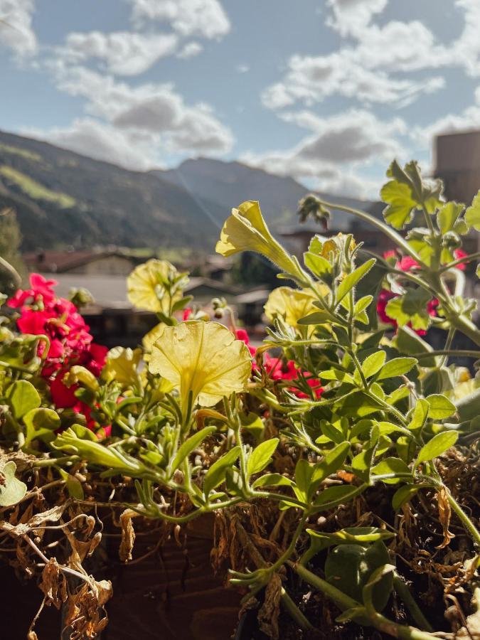 Apartment Goldene Mitte Aschau Im Zillertal Екстериор снимка
